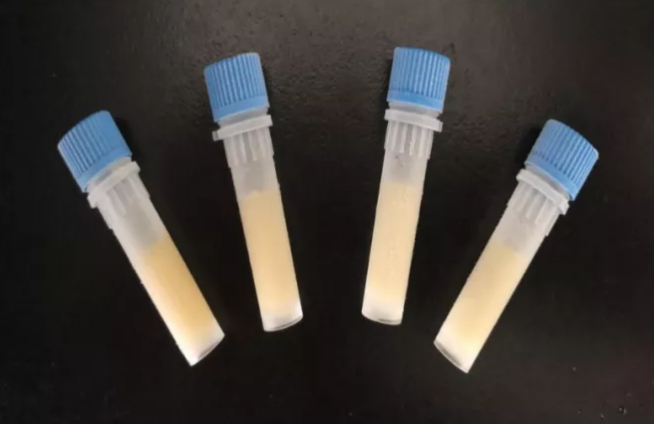 血乳酸含量標準物質